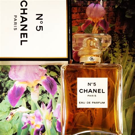 chanel no5 notes|genuine Chanel no 5 perfume.